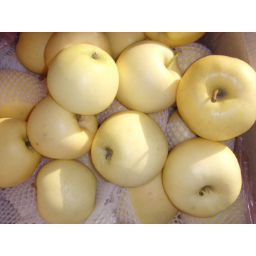 Высокое Quanlity Fresh Gold Apple